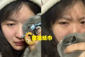 贵州女子看情感故事看哭，把猫咪当成擦脸巾，猫：当时我极不愿意视频封面