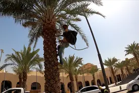 走路去麦加1：中国非穆斯林小伙，居然要穿越沙漠，走路去麦加！视频封面