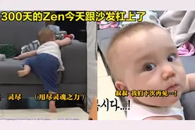 Zen为爬上沙发使用洪荒之力，300天的他已经对摄影展现出浓厚兴趣视频封面
