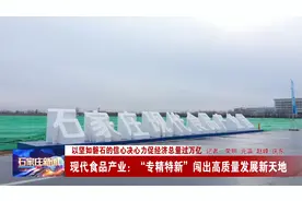 现代食品产业：“专精特新”闯出高质量发展新天地视频封面