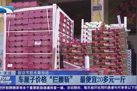 武汉:车厘子价格“拦腰斩”   最便宜20多元一斤视频封面