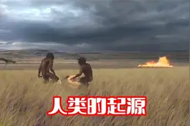 第一个原始人诞生在大约180万年前出现在非洲，他长什么样呢？视频封面