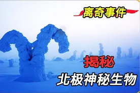 美国猎人在北极猎捕一只奇怪的生物，还因此惹上一身的麻烦