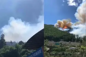 现场！重庆南川两镇相继突发山火 目击者：几分钟火就烧起来了视频封面