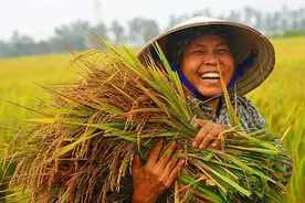 俗语“四大紧，四大松，四大嫩，四大蔫”，啥意思？涨知识了！视频封面