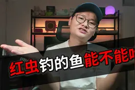 红虫有毒 对人体有害？用红虫钓的鱼不能吃？给你一个满意的答案视频封面
