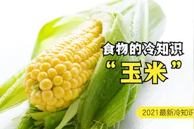 玉米冷知识｜白紫黄玉米哪种热量最低？营养师详解各种玉米营养视频封面