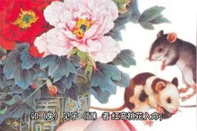 2分钟学会：红鸾桃花星视频封面