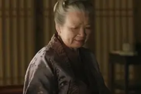 盛老太太手段太高了，三两句话就转移了大娘子注意力，着实厉害视频封面