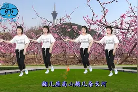 一首经典歌曲《花开的时候你就来看我》旋律优美，好听更好看视频封面