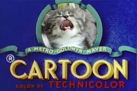 我不准你们错过小奶猫，进来吸小奶猫啦