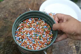 多肉花盆表面铺什么？园艺师教你，铺上彩色陶粒，颜值瞬间提升视频封面