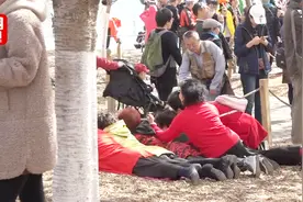 树上“开满”大妈！匍匐赏樱动作妖娆视频封面