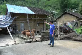 深山一村落，老人为留住年轻人花三年时间修建山路，结果心酸了