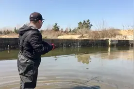 野钓马口总是不上鱼？勤换饵试一试视频封面