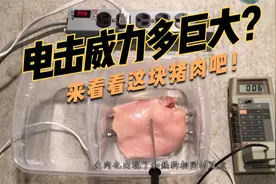 电击威力有多巨大，看看这块猪肉的变化？视频封面