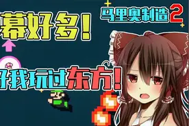 怎么有这么多弹幕？不要紧！还好我玩过东方！视频封面