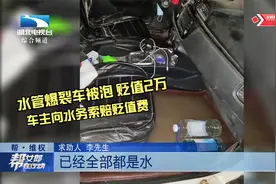 武汉：水管爆裂汽车被泡贬值2万元，车主向水务索赔贬值费视频封面
