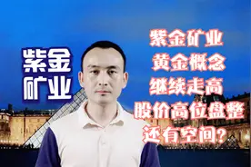 紫金矿业 黄金概念继续走高 股价高位盘整还有空间？视频封面