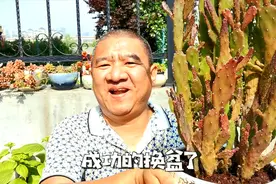 仙人掌“徒手”换盆，简单粗暴妙招分享，爆盆招财手换大盆视频封面