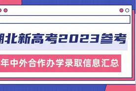 湖北新高考2023报考参考:历年中外合作办学录取信息汇总视频封面