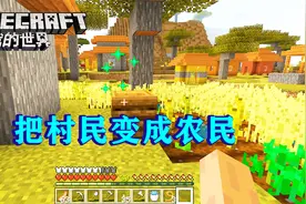 我的世界60：给村庄送堆肥箱，把无职业的村民，变成农民！视频封面