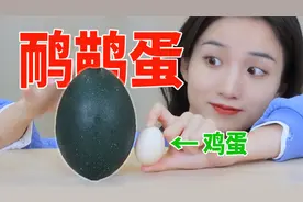 一个蛋就卖188块！试吃世界第二大蛋——鸸鹋蛋！视频封面