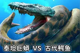 5800万年前，泰坦巨蟒在战争中输给了最大的鳄鱼，但战争仍在继续视频封面