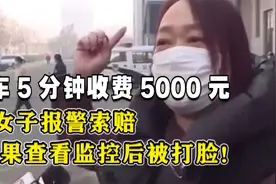 停车5分钟收费5000元，女子报警索赔，结果调监控后被打脸视频封面