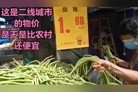 二线城市惠州，物价真低，30块钱都能买一天的菜了，在这生活真好视频封面