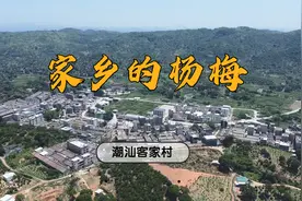 实拍广东汕头杨梅之乡，潮汕客家人乡村，有着“地球之肺”美誉