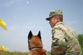 新闻特写：军犬“小罗”的首次千米高空跳伞