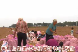 你知道今年鲜蒜为什么这么贵吗？大蒜行情分析，个人观点仅供参考视频封面