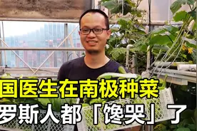 中国医生在南极种菜，把俄罗斯人“馋哭”了，种菜也需要天赋？视频封面