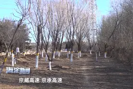 北清路将架起串联海淀昌平快速路视频封面