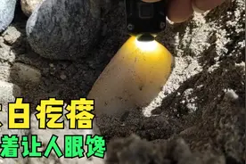 东北母子自创泼水挖玉法，接二连三的出货让人看着眼馋，太效率了视频封面