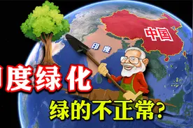 地球变绿中印成最大功臣，为何专家担忧印度绿化，他们种了什么？视频封面
