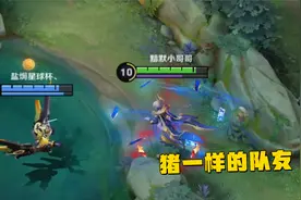 王者峡谷：猪一样的队友暗墨差点被气炸视频封面