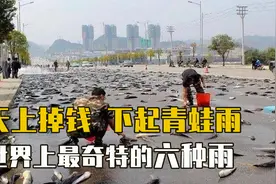 天空中下起血雨？还有钱雨、青蛙雨，盘点历史上最奇特的雨！视频封面