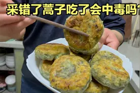 春天野外的蒿子种类繁多，如果采错了蒿子吃了会中毒吗？视频封面