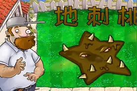 新植物：地刺桃视频封面