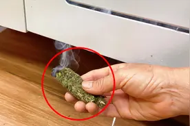 艾草烧一烧，拿到房间熏一熏，刚刚才知道，回家我也照着做 视频封面