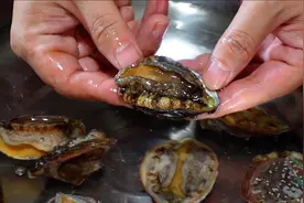 鲍鱼怎么做好吃？试试广东人这种特色吃法，做法简单且营养不流失