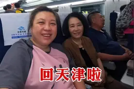坐高铁回天津啦，第一时间奔小园，黄瓜老了柿子红了，总算放心了视频封面