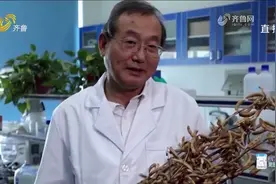 盐碱地里种出"金豆子"！育种人徐冉育成大豆"齐黄34"，创高产纪录视频封面