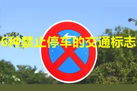 6种禁止停车的交通标志，认识3种以上的才算是合格的老司机