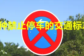 6种禁止停车的交通标志，认识3种以上的才算是合格的老司机视频封面