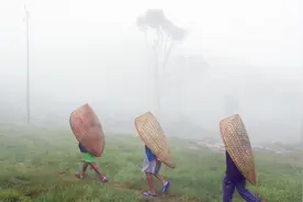 全球最潮湿的地方，一年都在下雨看不到太阳，被子上经常长出蘑菇