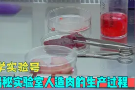 揭秘人造肉的生产过程，看完你能接受吗？