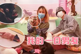 宠物店＆大保健？初次和男友约会的正确方式！视频封面